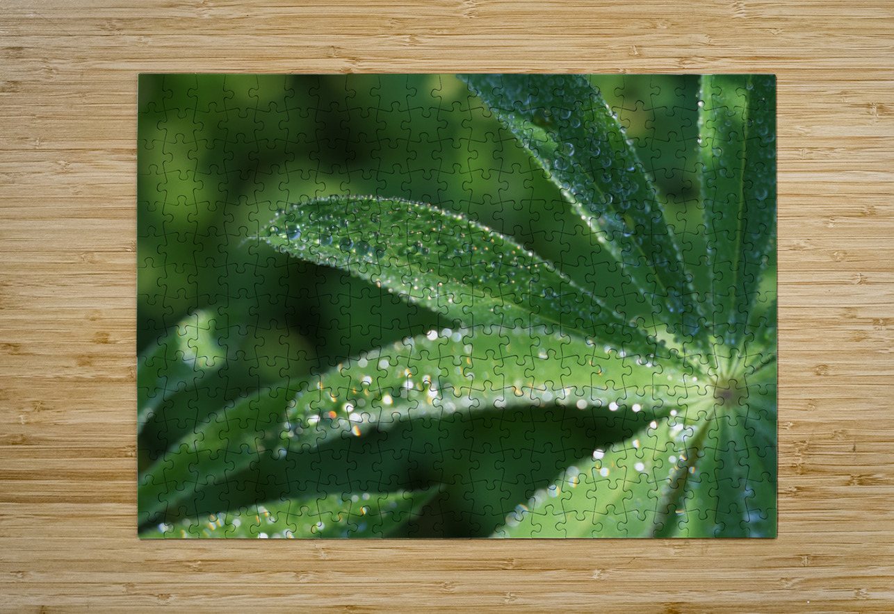 Droplets Suzanne Bonin Puzzle printing