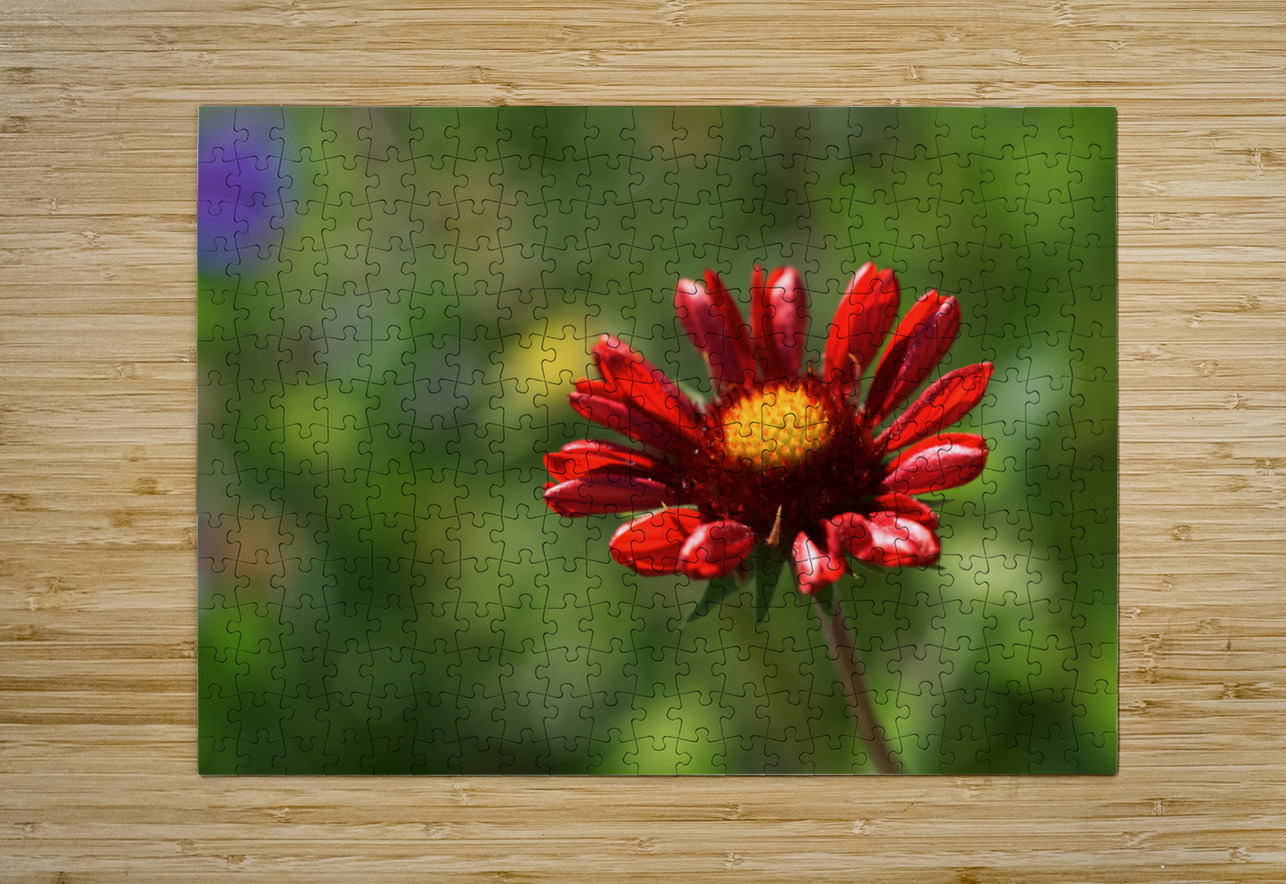 Dazzler Suzanne Bonin Puzzle printing