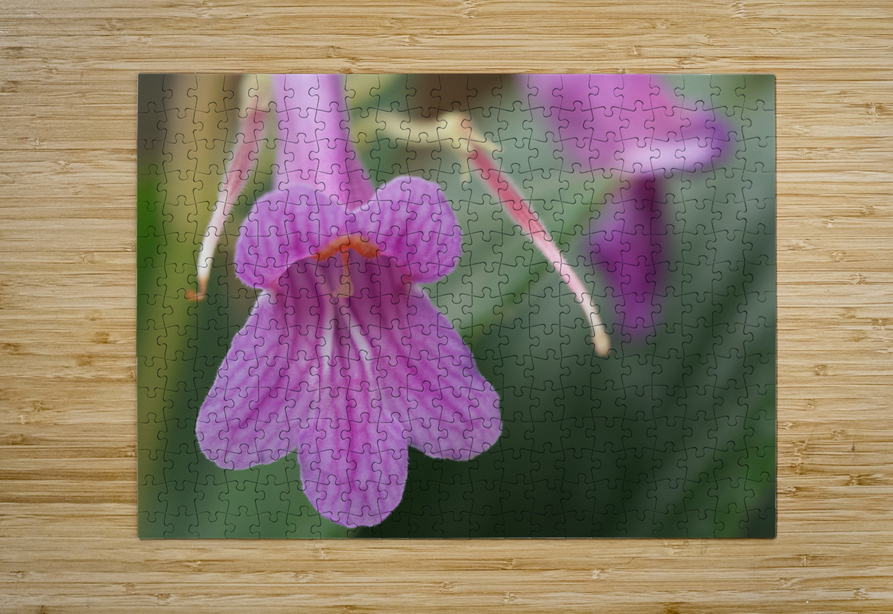 Dear Little One Suzanne Bonin Puzzle printing