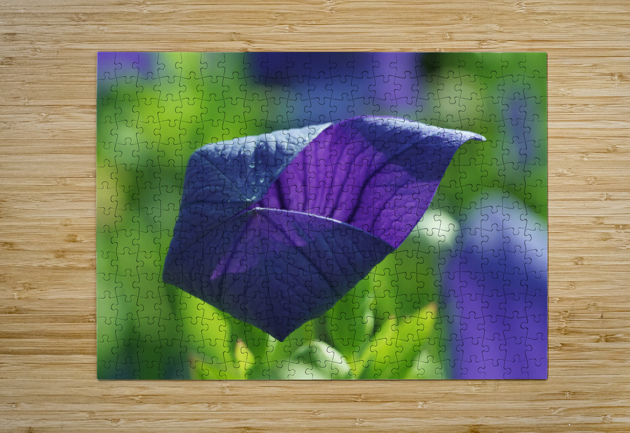 Coin coin Suzanne Bonin Puzzle printing