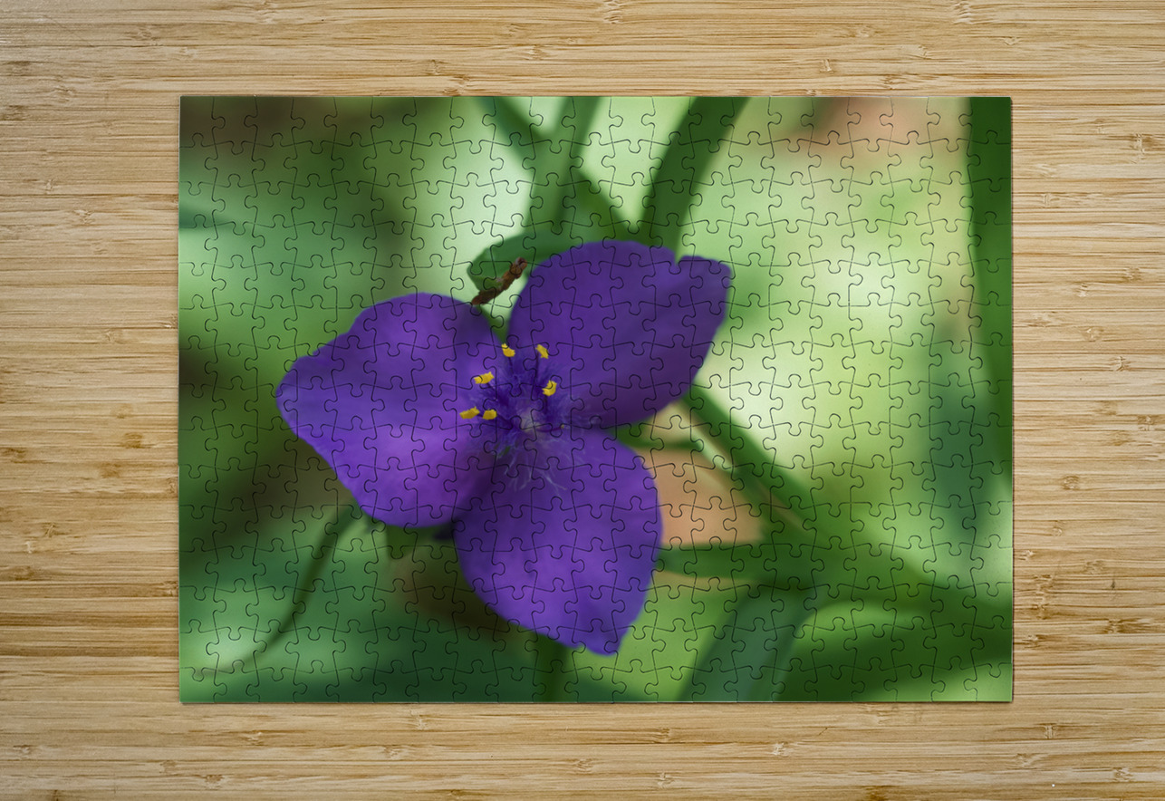 Bluejacket Suzanne Bonin Puzzle printing