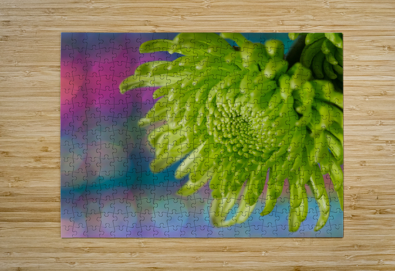 Green Chrysanthemum Suzanne Bonin Puzzle printing