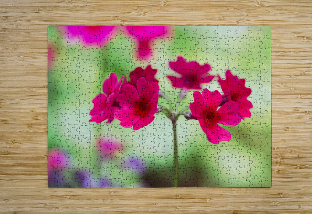 Valley Red Suzanne Bonin Puzzle printing