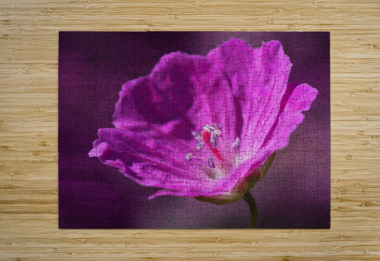 Bloody Geranium Suzanne Bonin Puzzle printing
