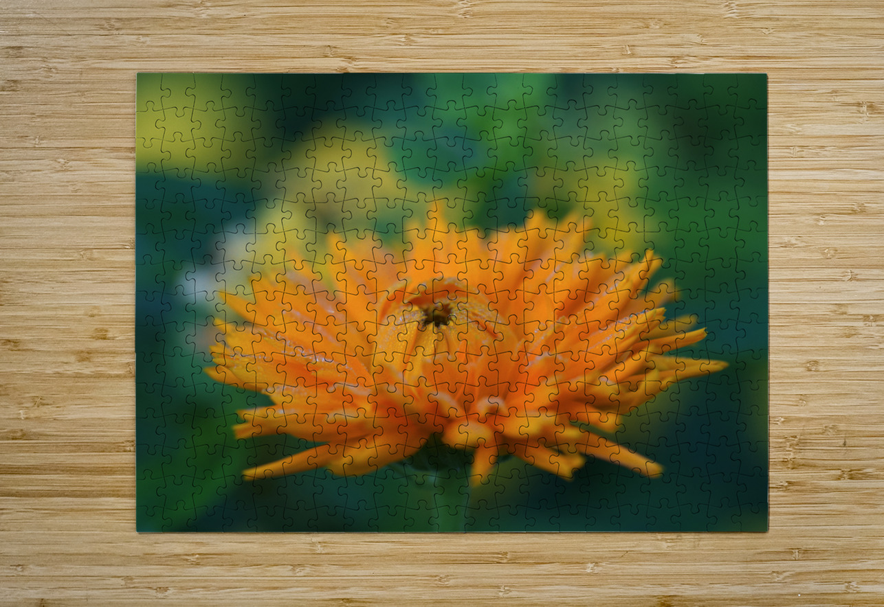 Ruddle Suzanne Bonin Puzzle printing