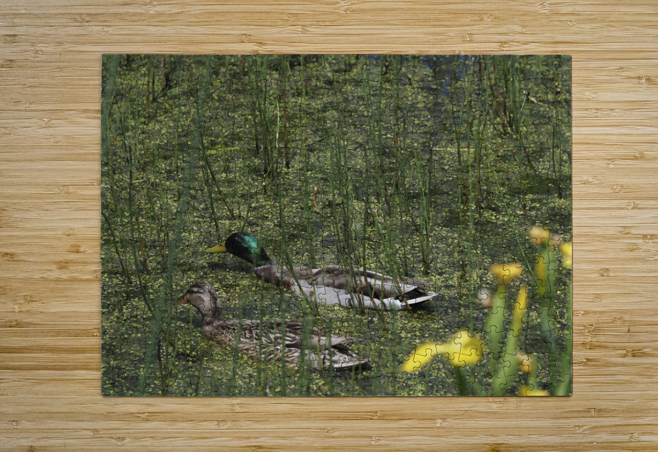 Sauve Qui Peut Suzanne Bonin Puzzle printing