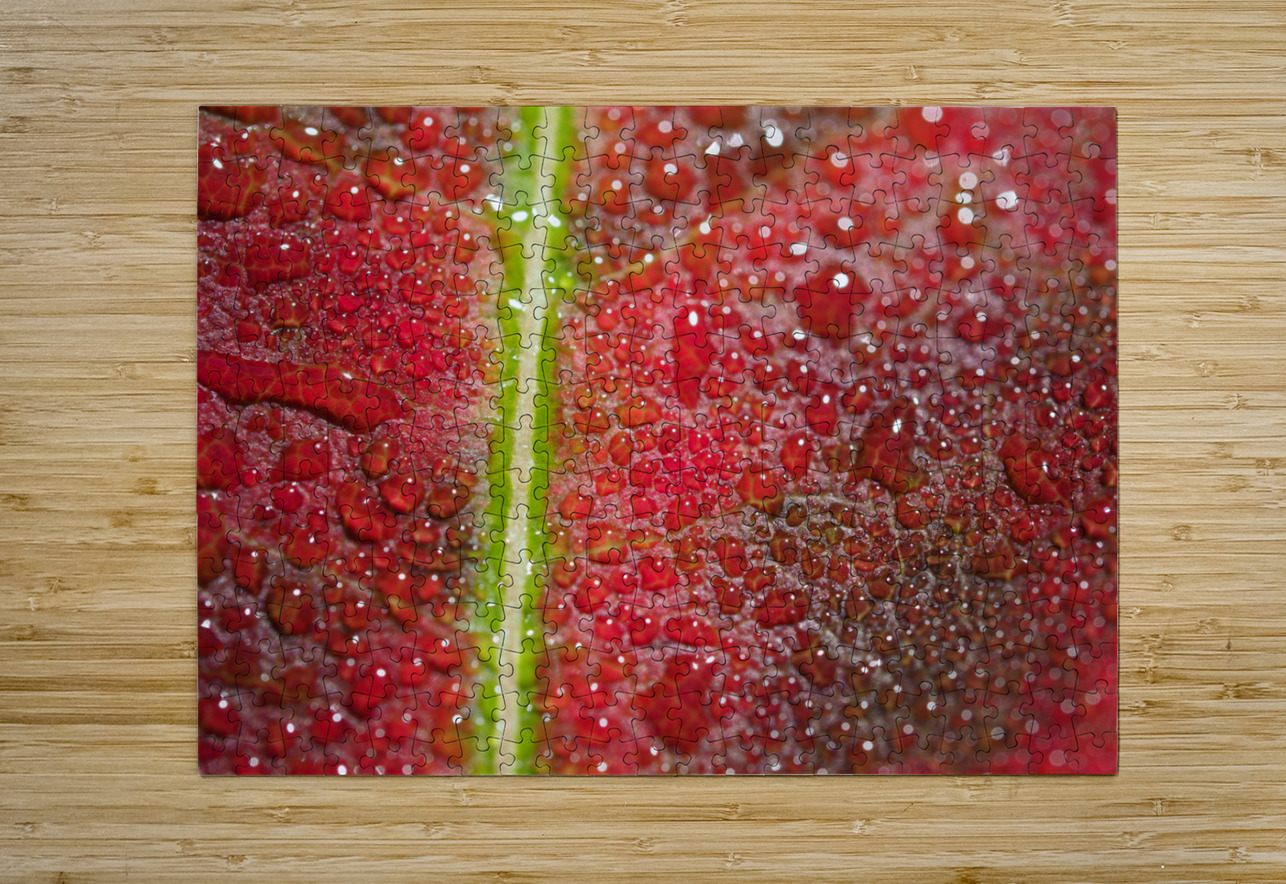 Maple Leaf Suzanne Bonin Puzzle printing