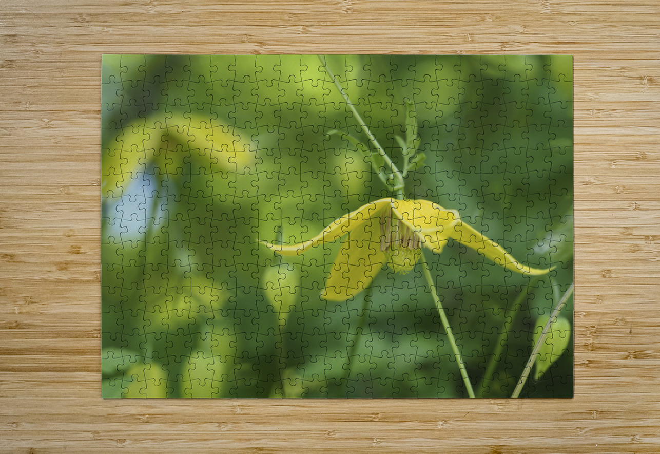 Golden Tiara Suzanne Bonin Puzzle printing