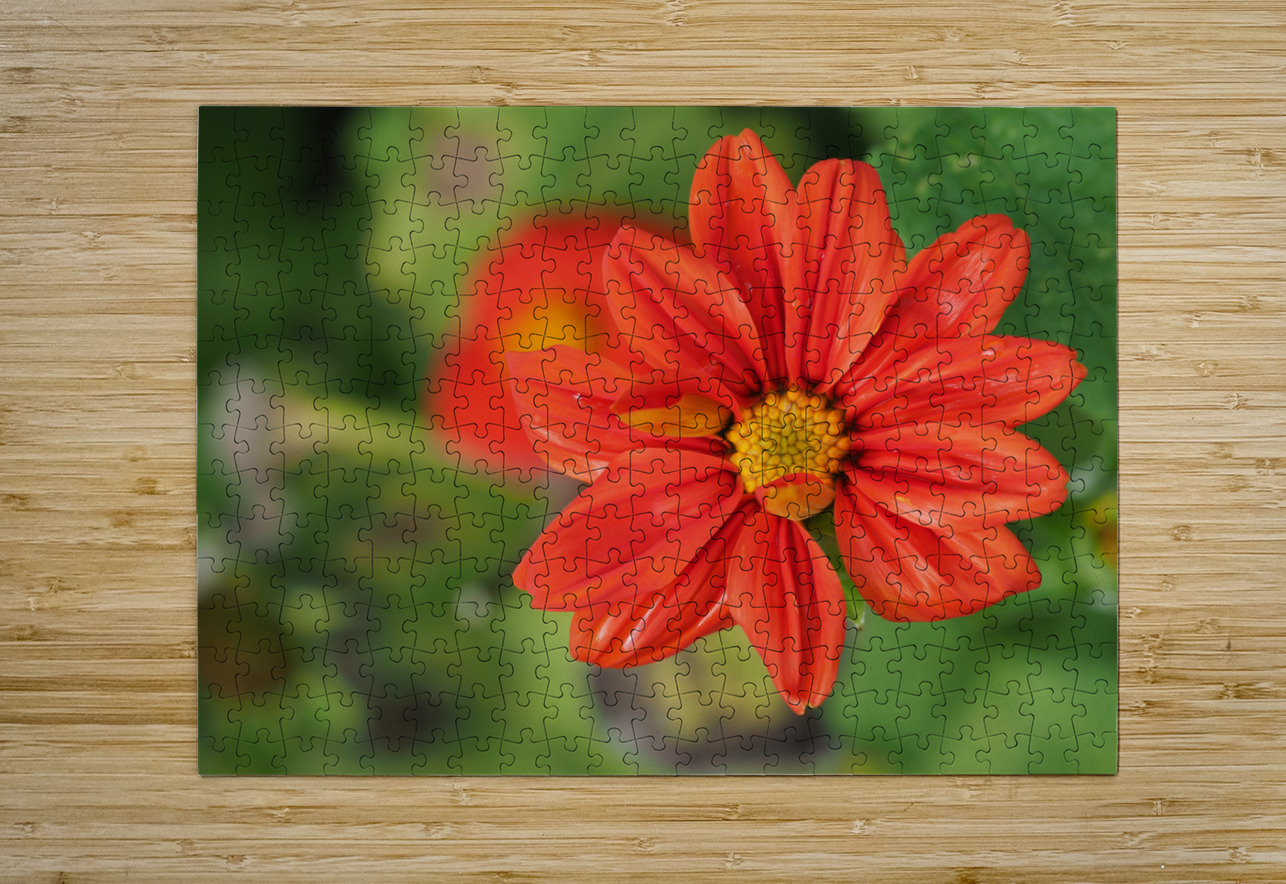 Red Dahlia Suzanne Bonin Puzzle printing
