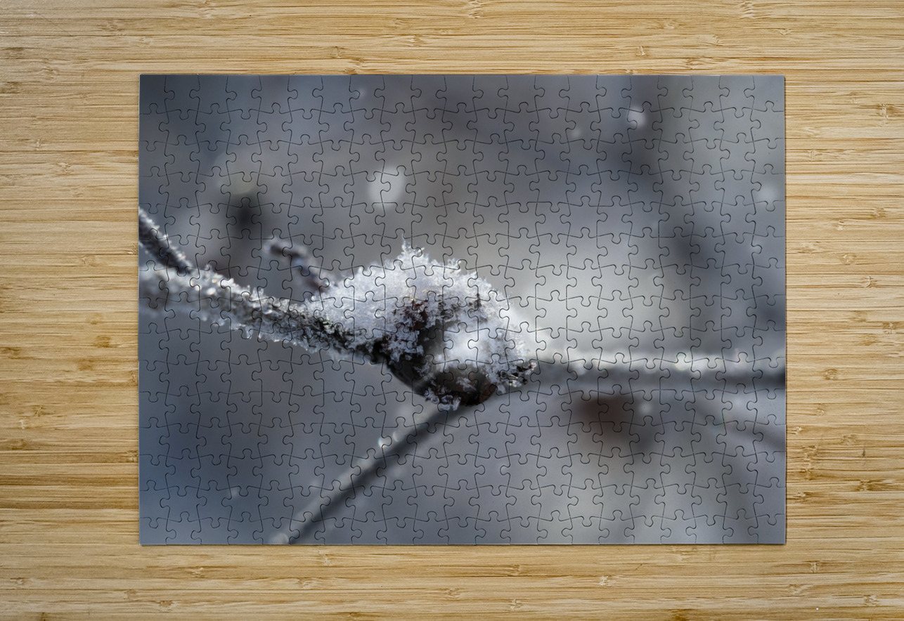Frozen Wild Berry Suzanne Bonin Puzzle printing