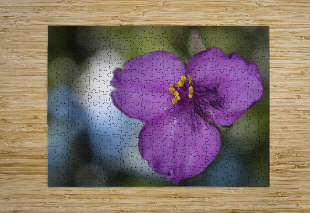 Prairie Beauty Suzanne Bonin Puzzle printing