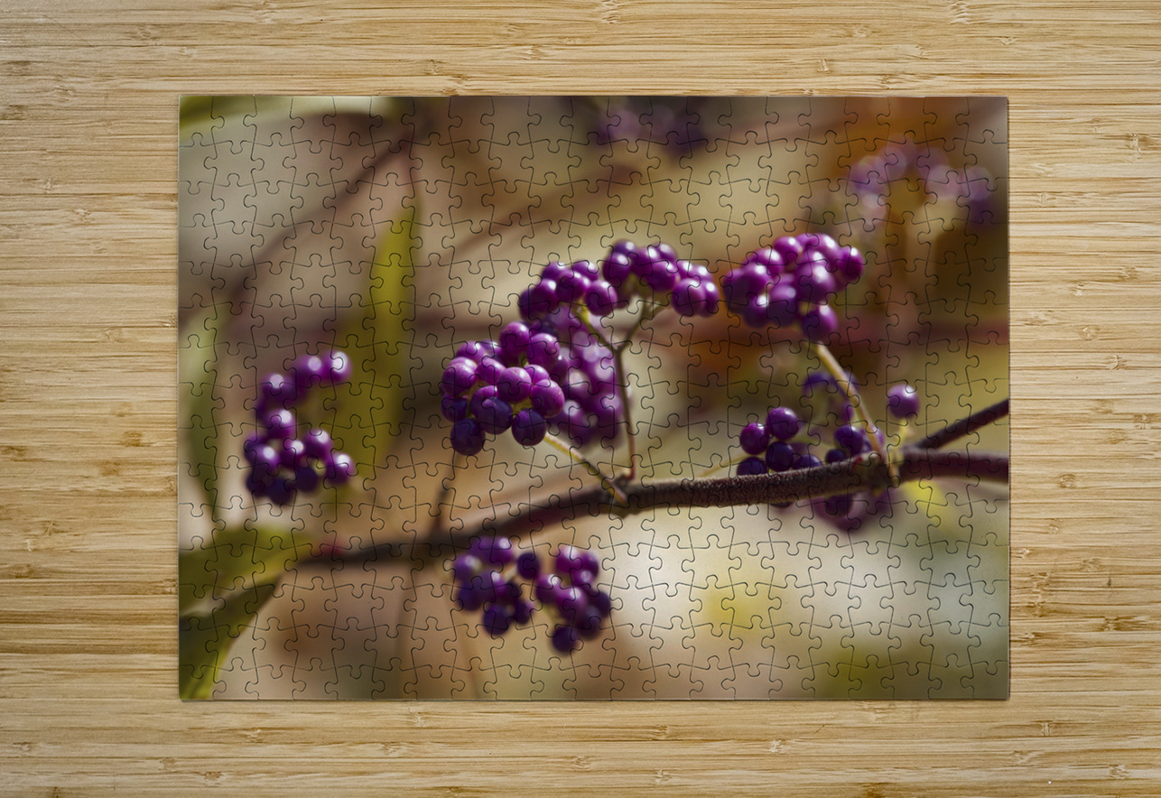 Profusion Suzanne Bonin Puzzle printing