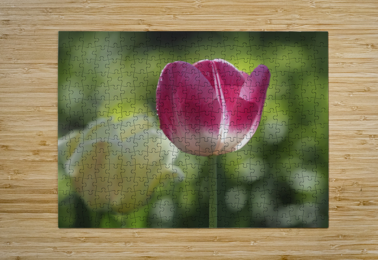 Simple Beauty Suzanne Bonin Puzzle printing