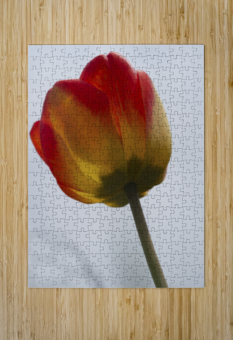 Tall One Suzanne Bonin Puzzle printing