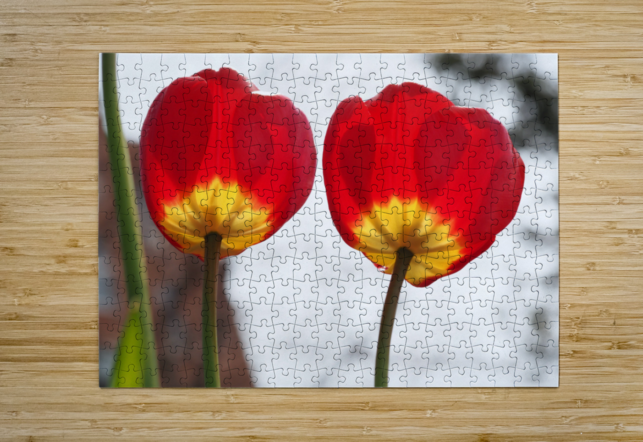 Twin Sisters Suzanne Bonin Puzzle printing