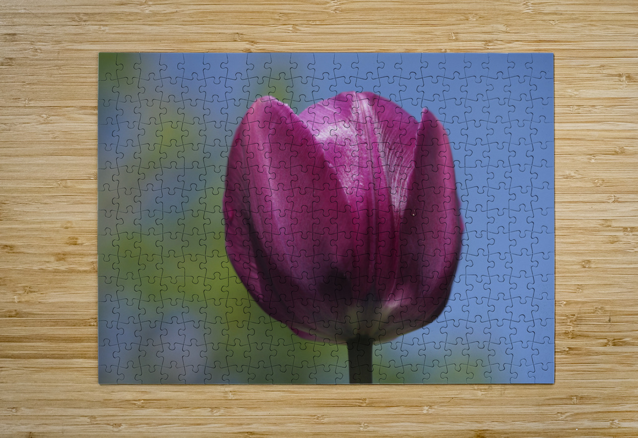 Perfect Day Suzanne Bonin Puzzle printing