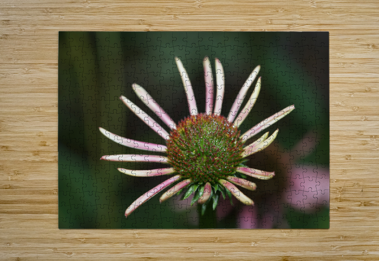 Good Morning Suzanne Bonin Puzzle printing