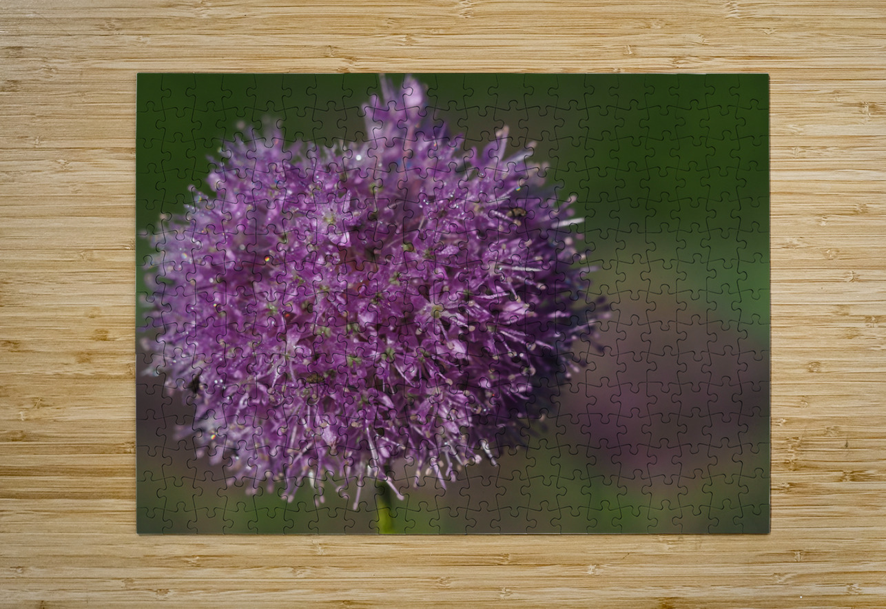 Jewels In Nature Suzanne Bonin Puzzle printing