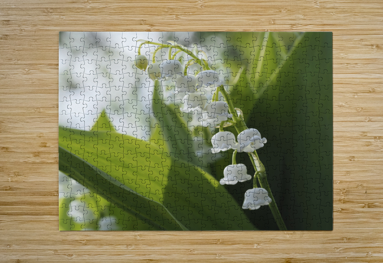 May Lilies Suzanne Bonin Puzzle printing
