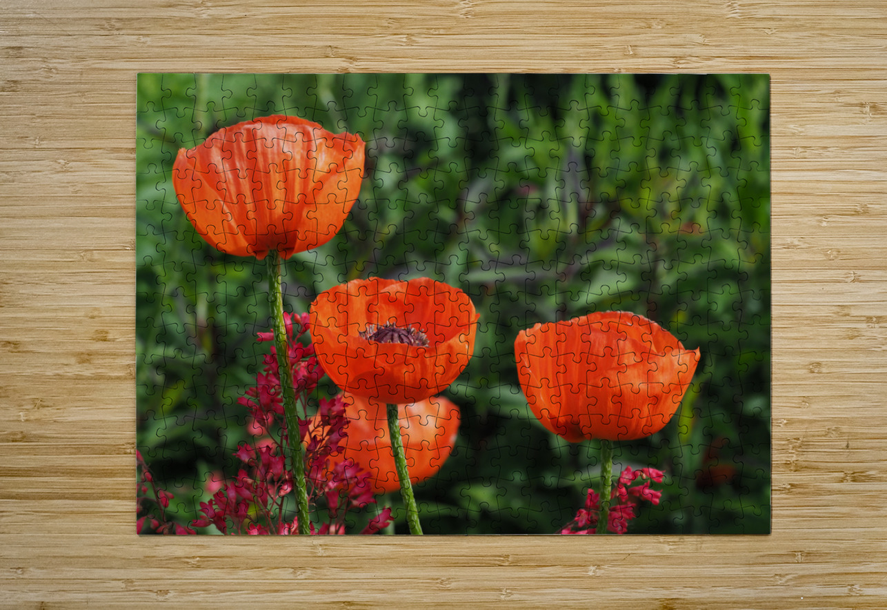 Poppies Suzanne Bonin Puzzle printing