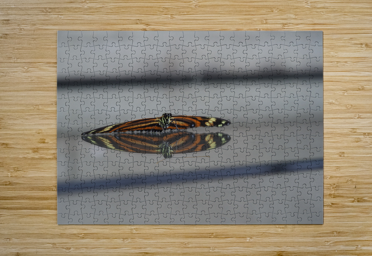 Tiger Heliconian Suzanne Bonin Puzzle printing