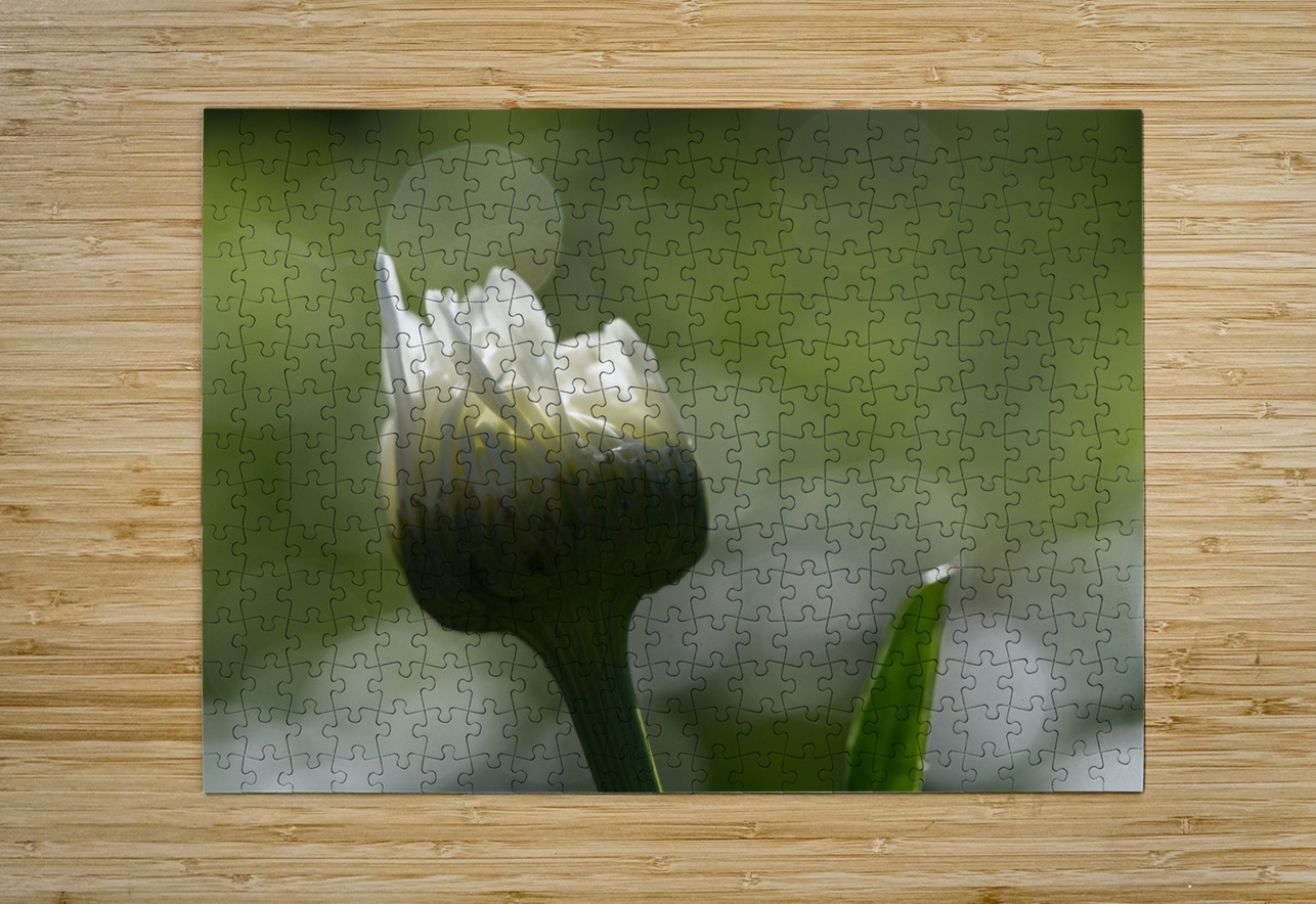 Tranquility Suzanne Bonin Puzzle printing