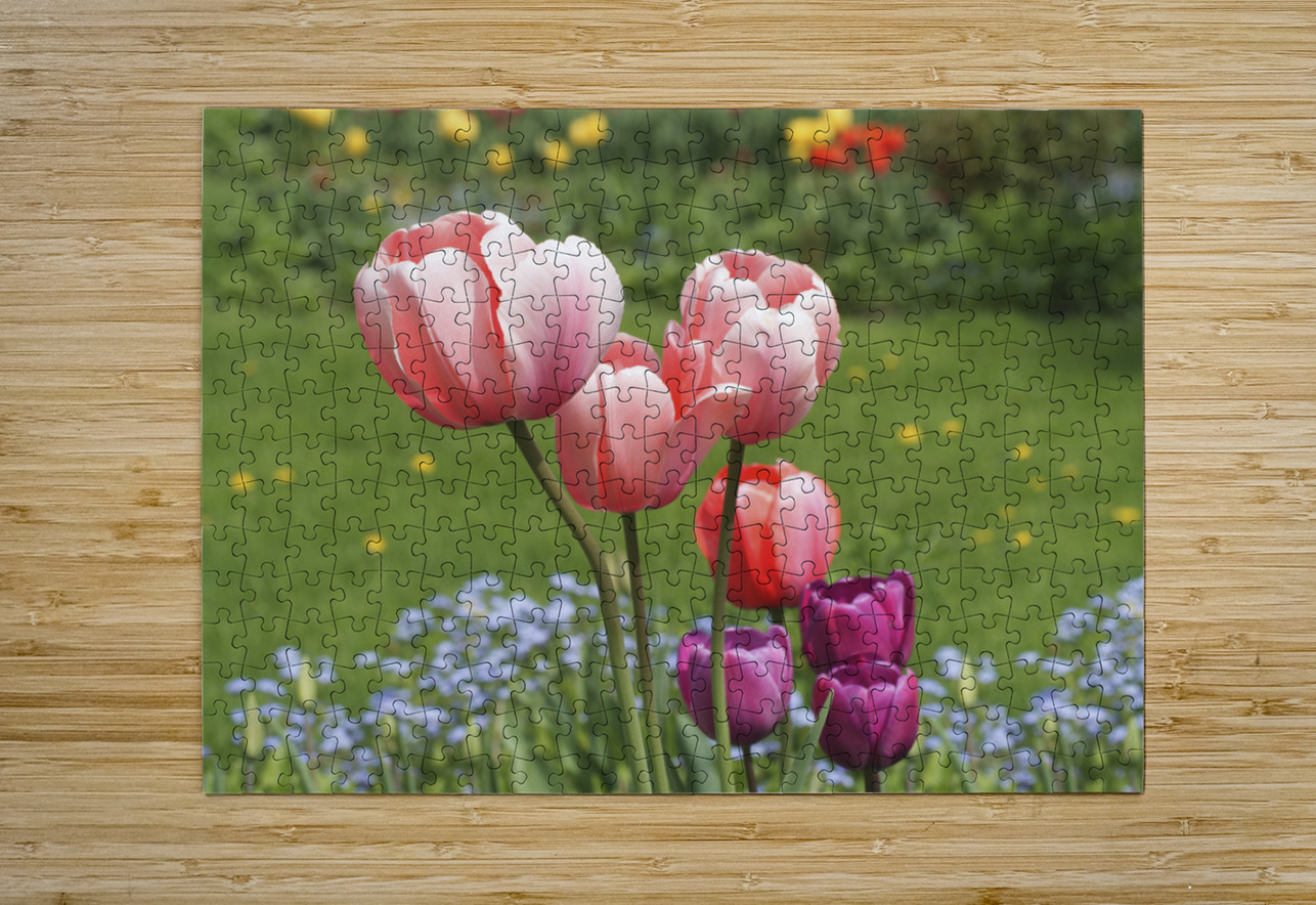 Nuances Suzanne Bonin Puzzle printing