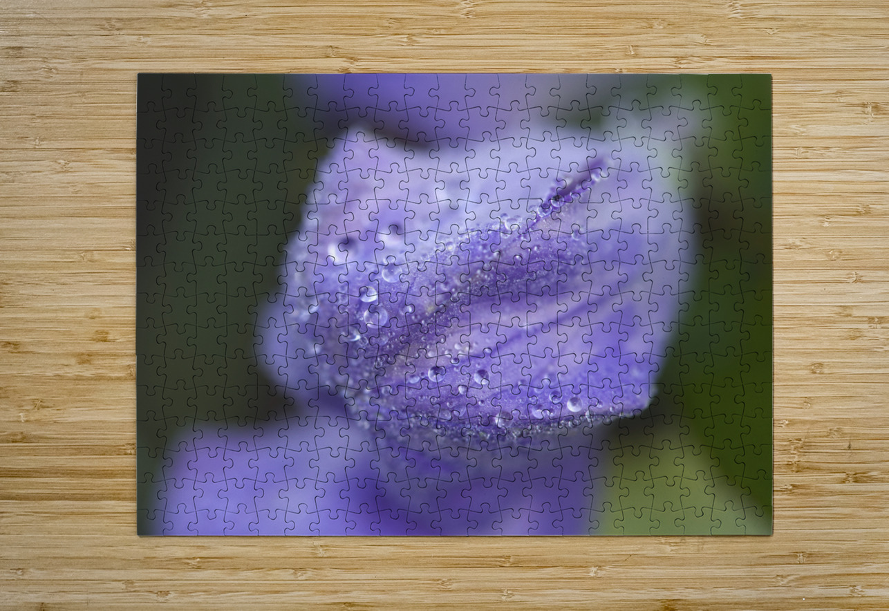 Droplets on a Bellflower Suzanne Bonin Puzzle printing