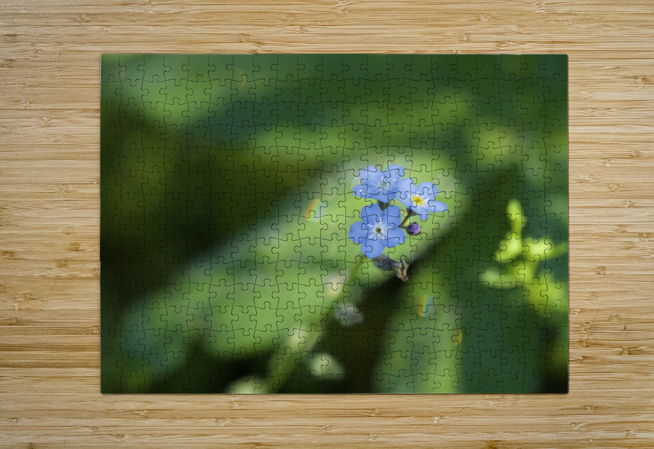 Forget Me Not with Tiny Rainbows Suzanne Bonin Puzzle printing