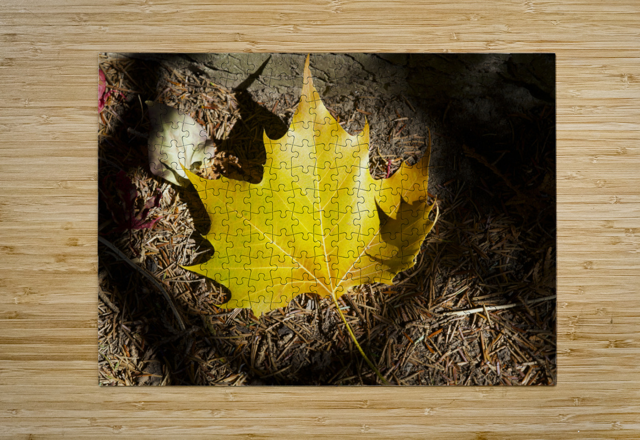 Single Maple Leaf Suzanne Bonin Puzzle printing
