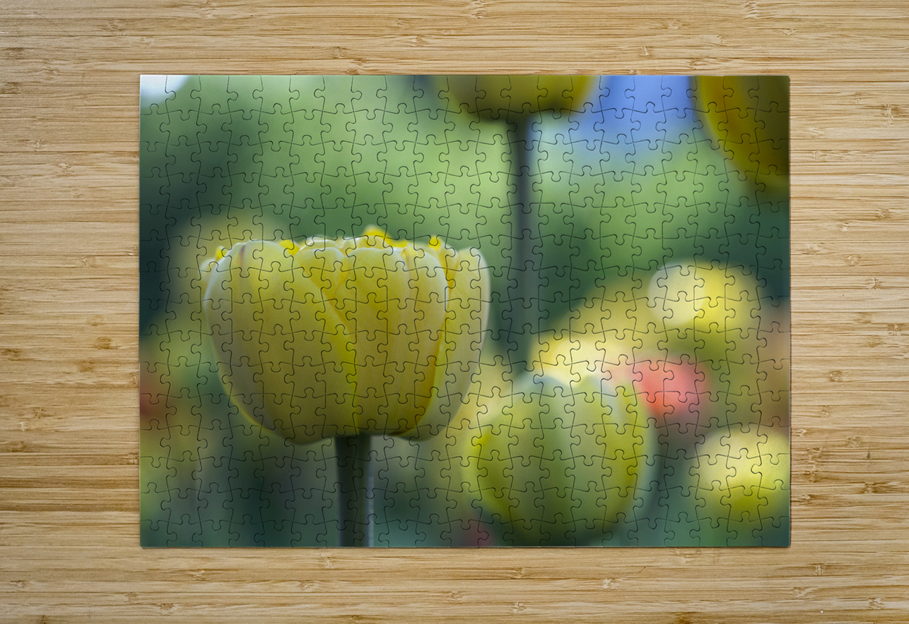 In My Dream Suzanne Bonin Puzzle printing