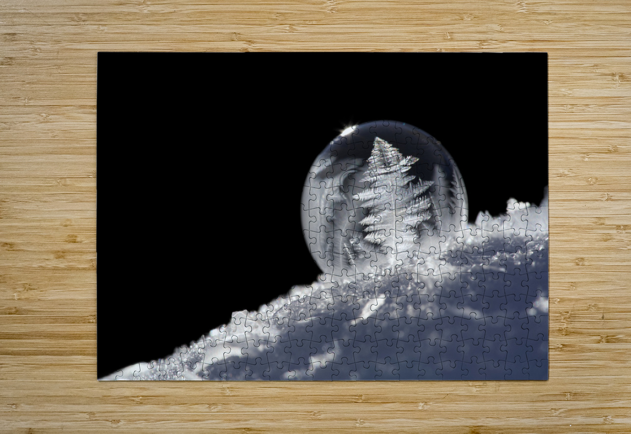 Frozen Soap Bubble Suzanne Bonin Puzzle printing