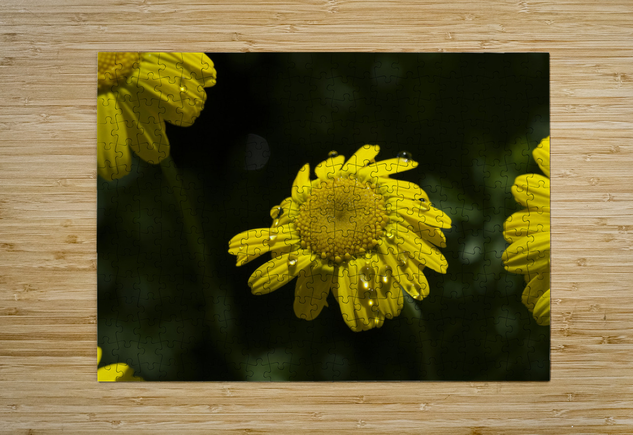 Charming Lady Suzanne Bonin Puzzle printing