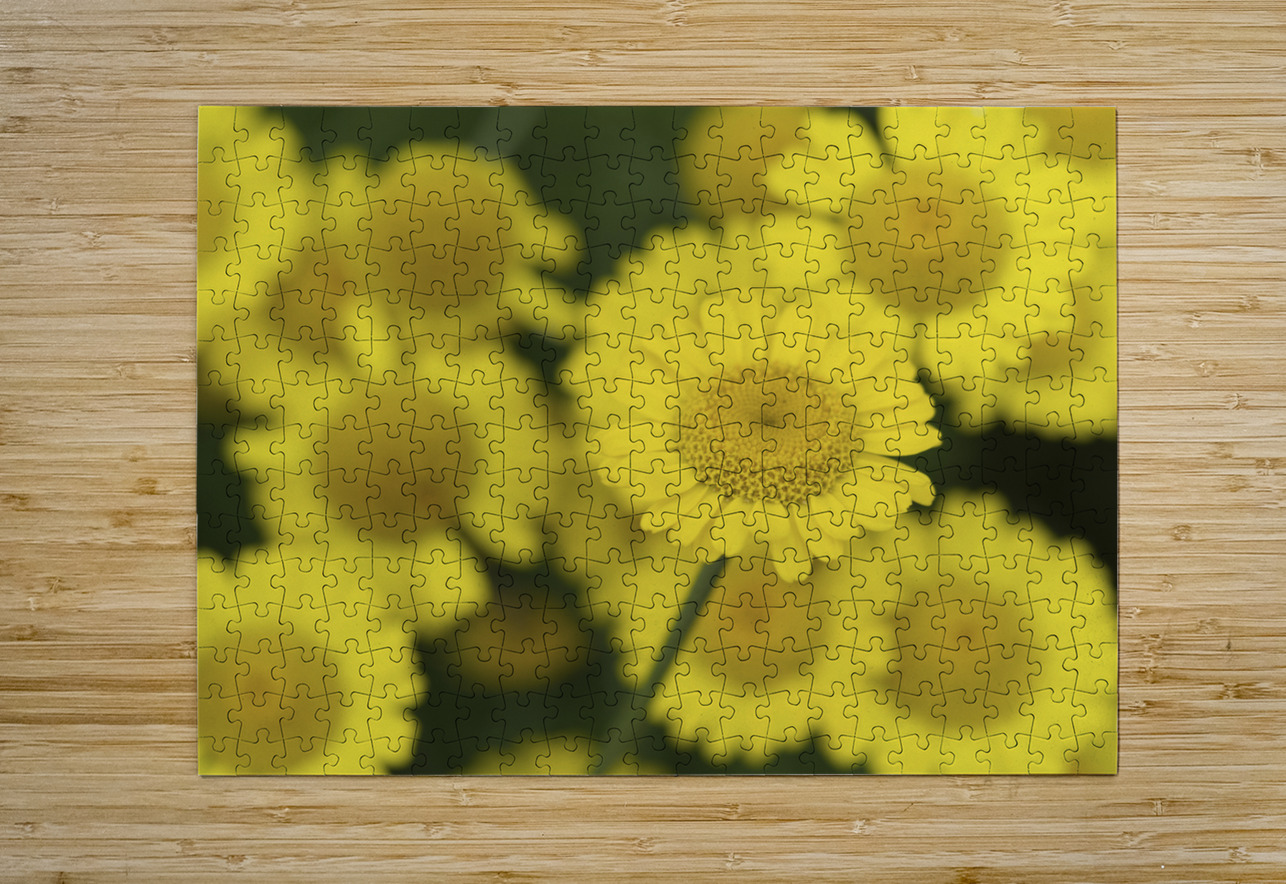 Summer Afternoon Suzanne Bonin Puzzle printing