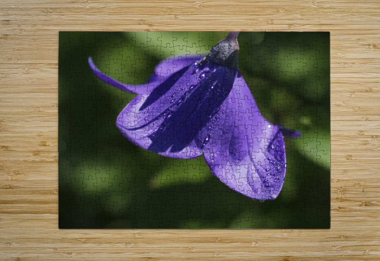 Dewdrops Suzanne Bonin Puzzle printing