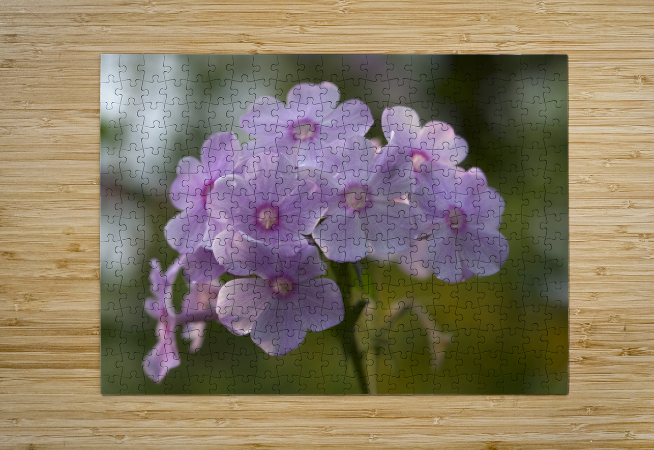 Exquisite Beauties Suzanne Bonin Puzzle printing