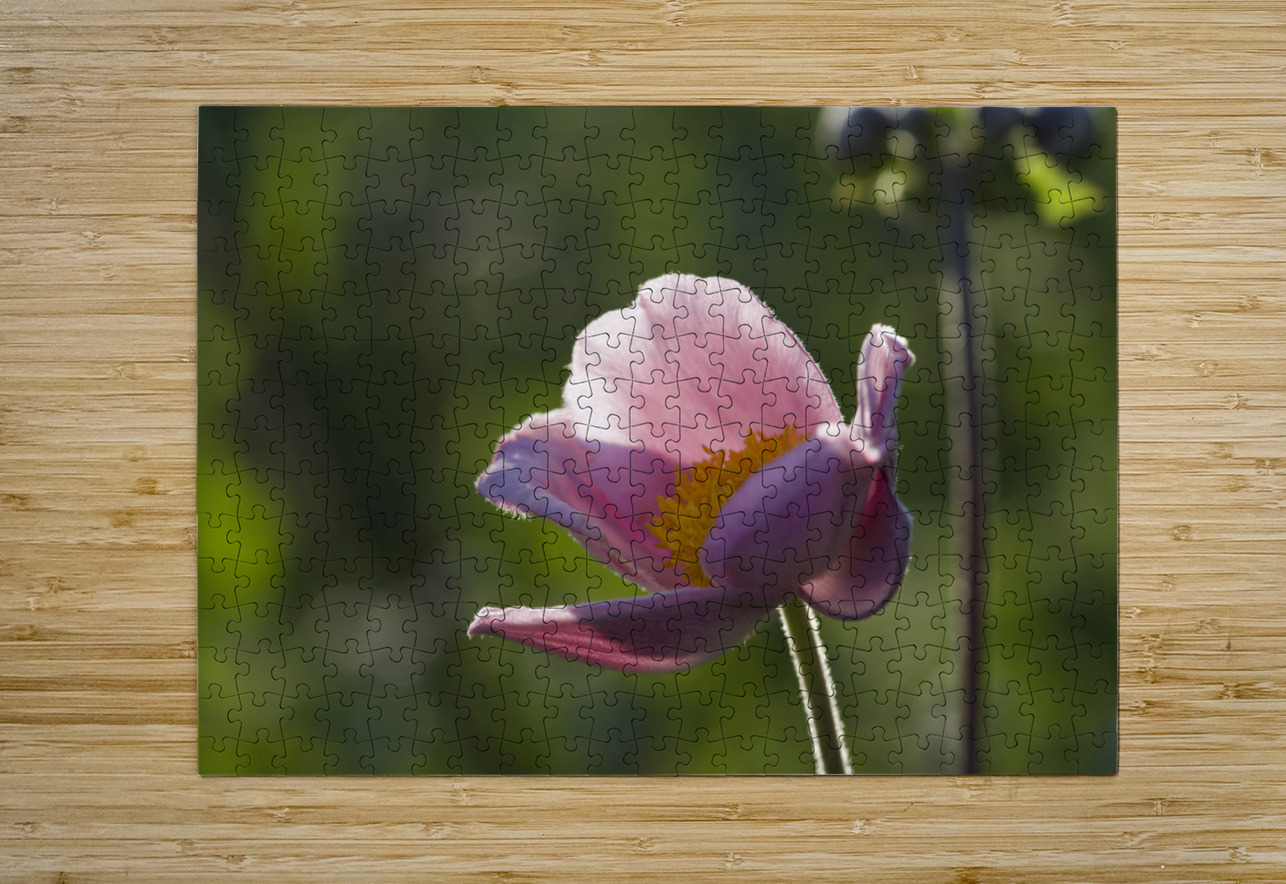 Broken Bowl Flower Suzanne Bonin Puzzle printing