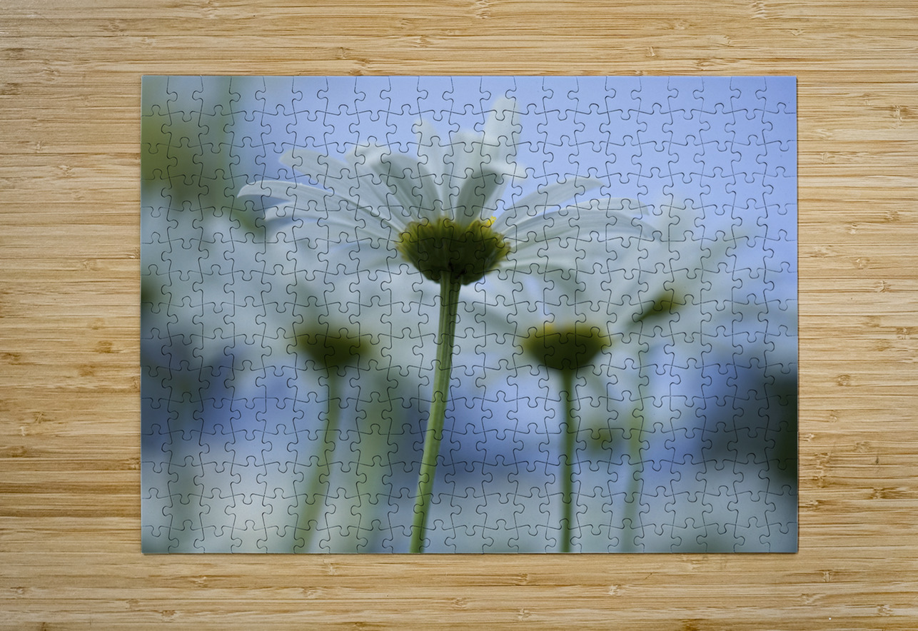 From Under Suzanne Bonin Puzzle printing