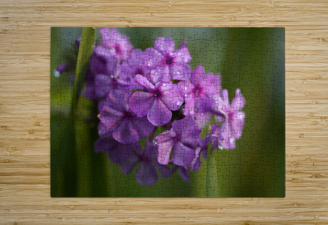 Purple Flame Suzanne Bonin Puzzle printing