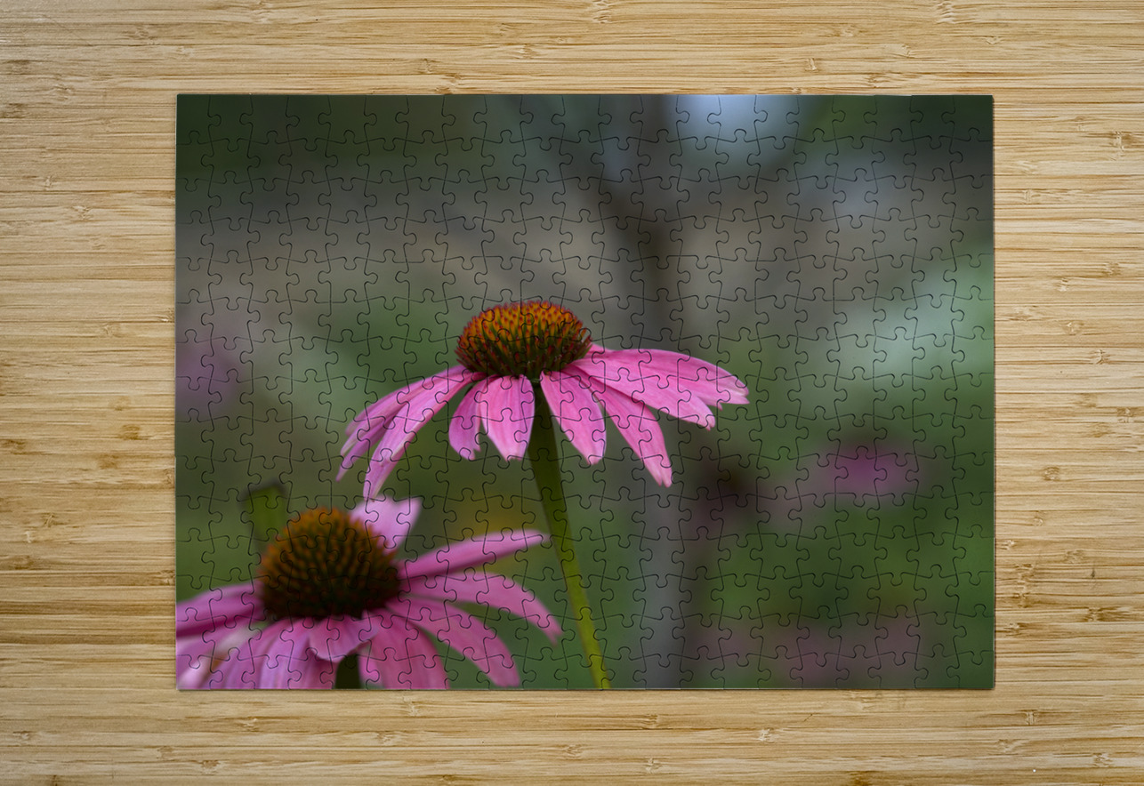 Ladies in Pink Suzanne Bonin Puzzle printing