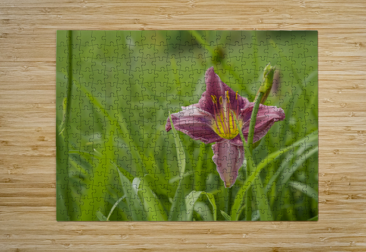 Pretty in Pink Suzanne Bonin Puzzle printing