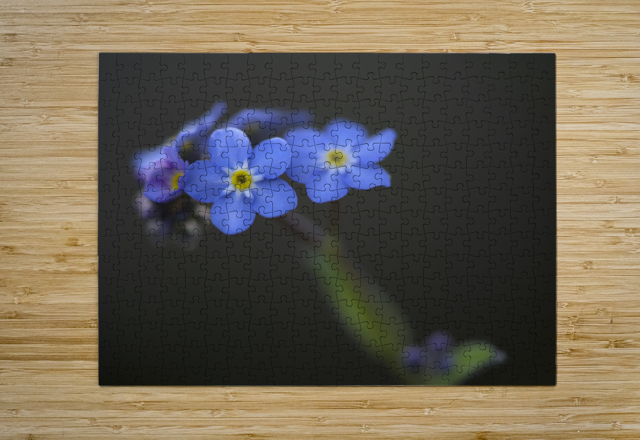 Pretty in Blue Suzanne Bonin Puzzle printing