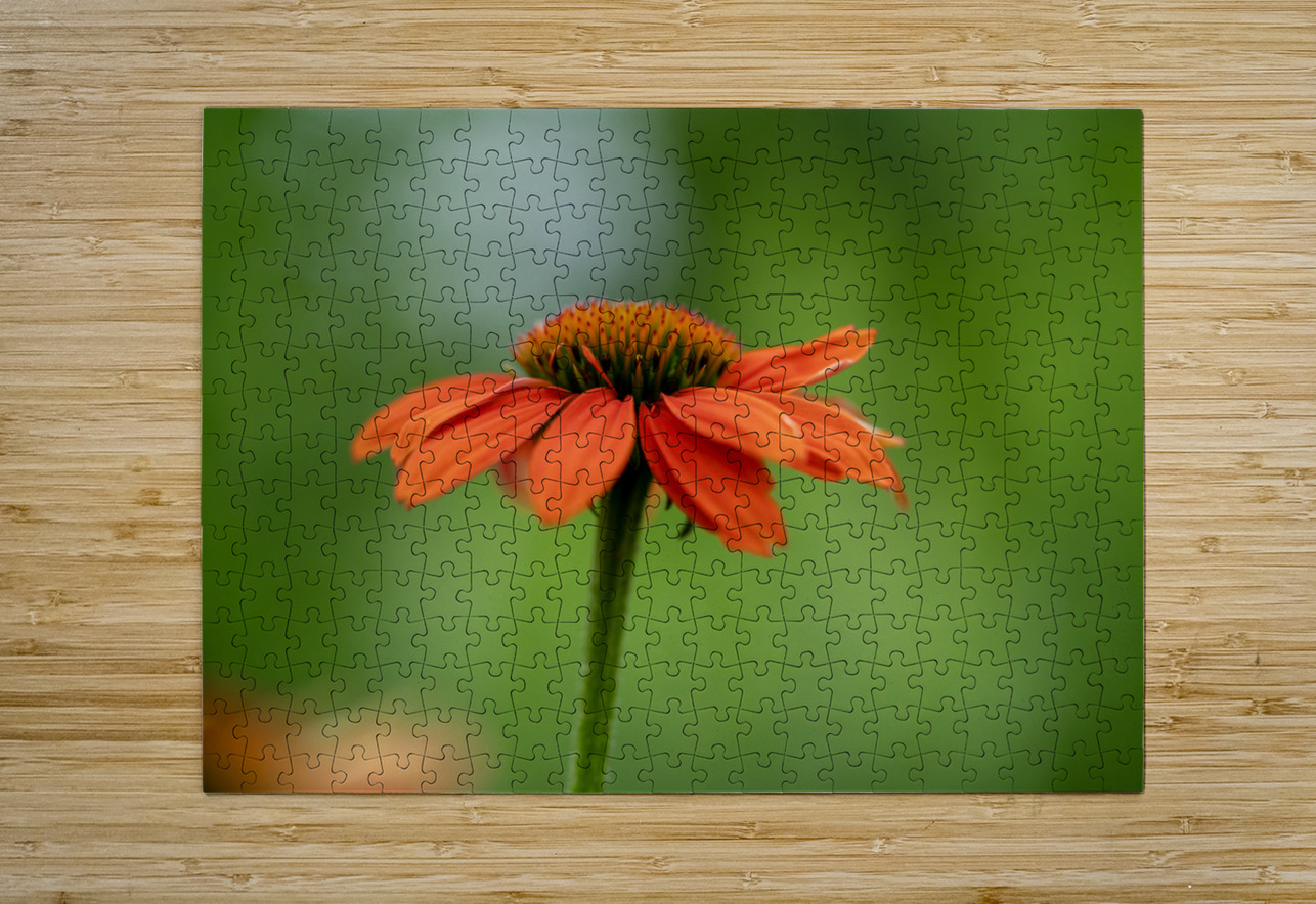Orange You Awesome Suzanne Bonin Puzzle printing