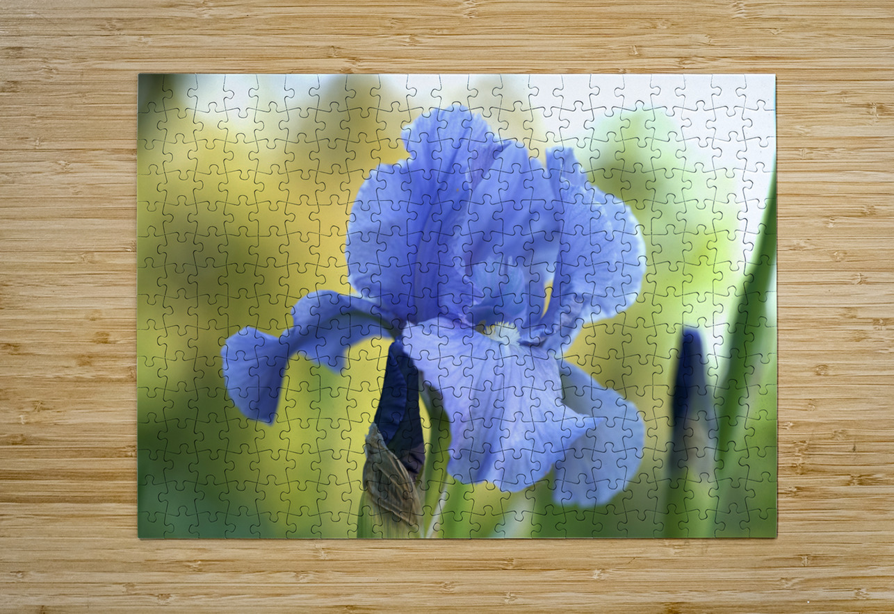 Lucky Devil Suzanne Bonin Puzzle printing