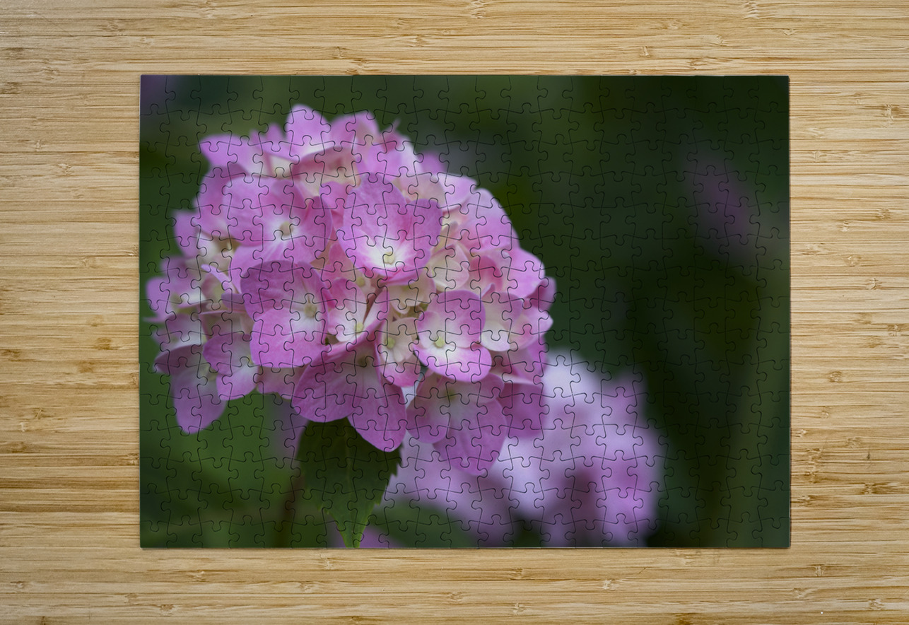 Tea of Heaven Suzanne Bonin Puzzle printing