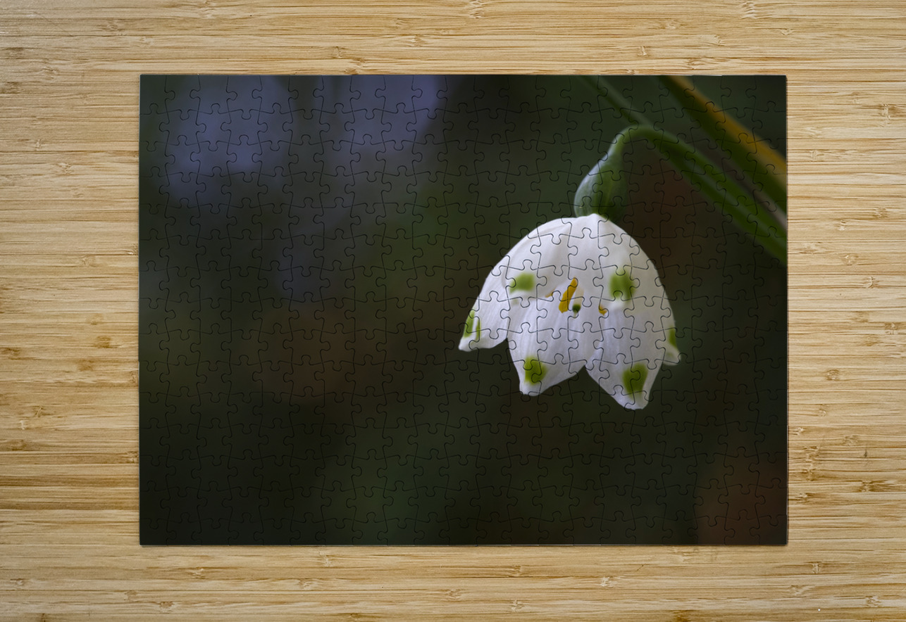 Spring Snowflake Suzanne Bonin Puzzle printing