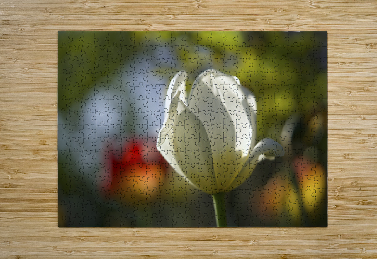 The Graceful Suzanne Bonin Puzzle printing