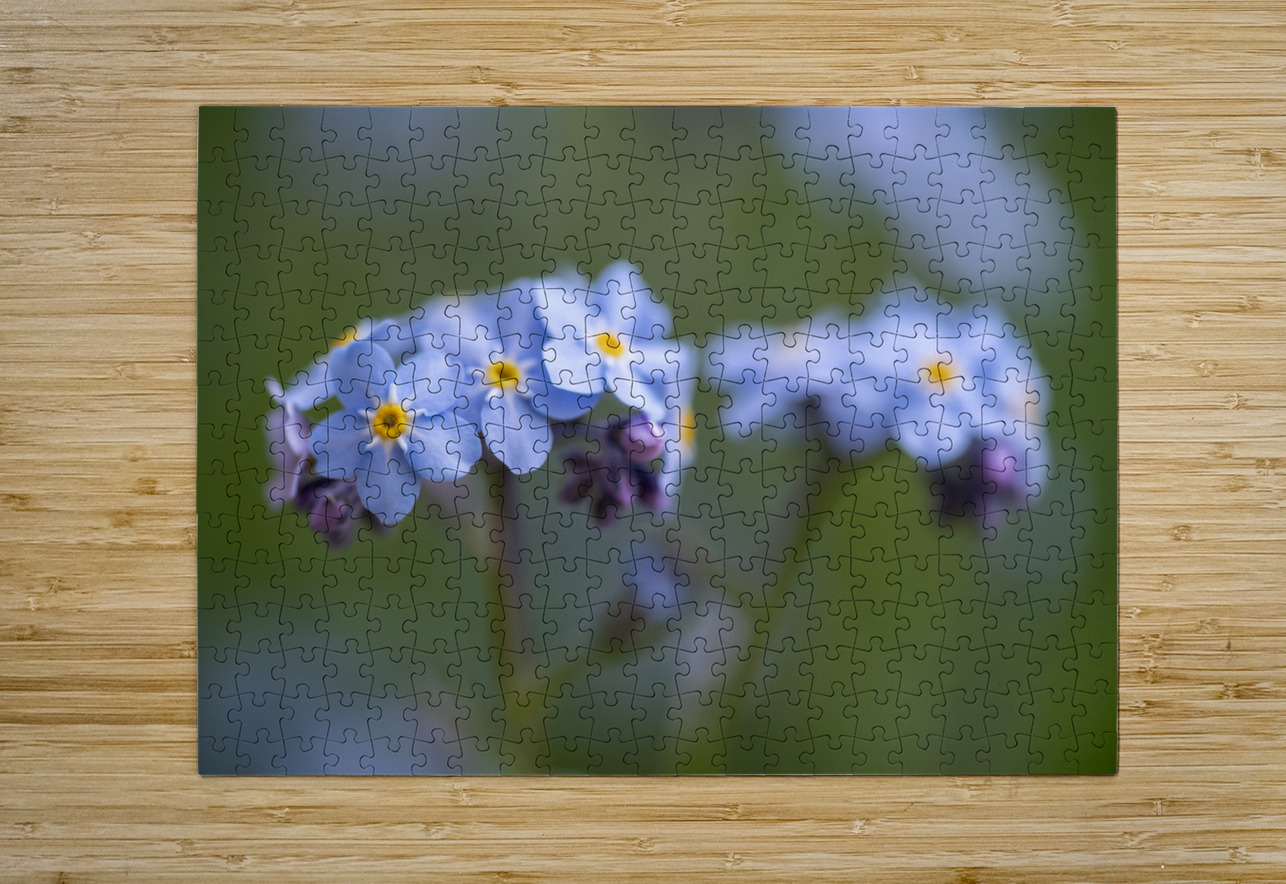 Scorption Grasses Suzanne Bonin Puzzle printing
