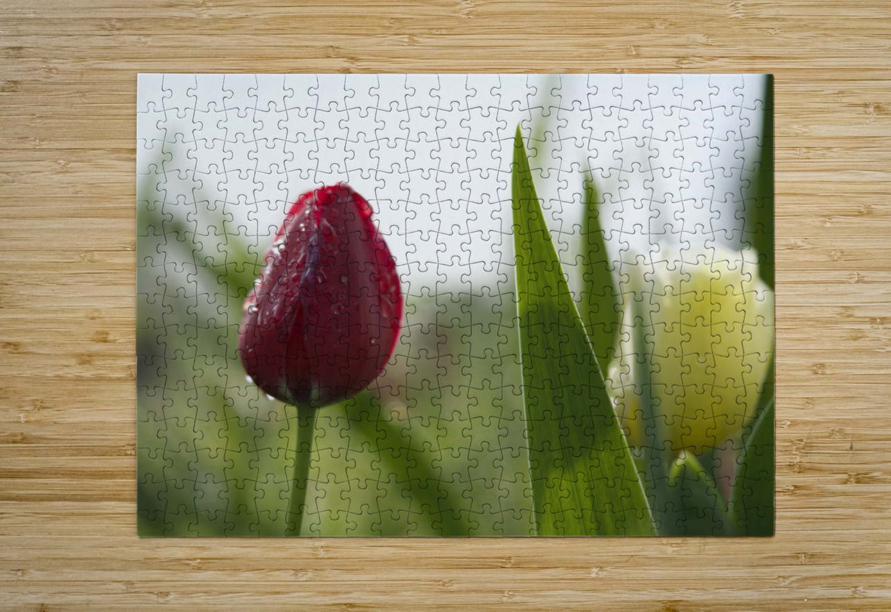 Red Beauty Suzanne Bonin Puzzle printing