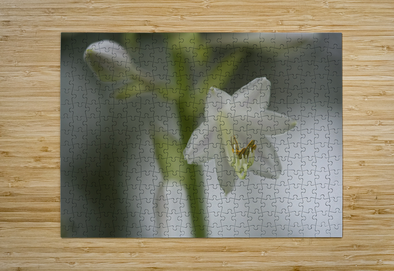 White Lily Suzanne Bonin Puzzle printing